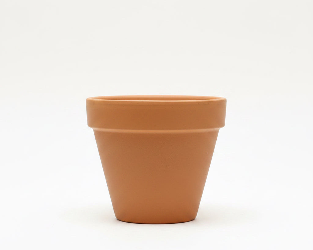 A classic terracotta clay flower pot with a wide rim.